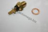 AUTOMEGA 30702030359 Sensor, oil temperature